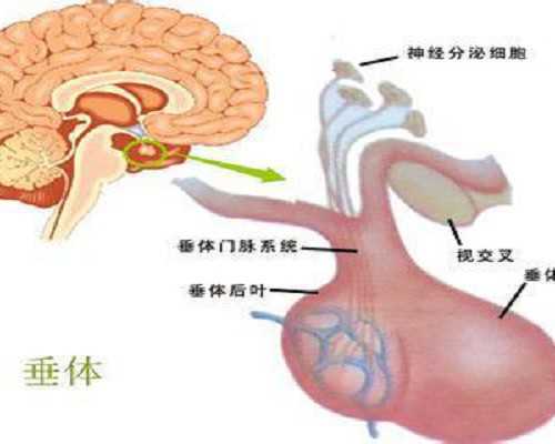 黑龙江大学黑龙江医院做试管婴儿的成功率全国排名第几？